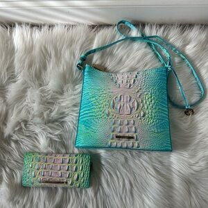 NWT Brahmin cotton candy ombré katie bag and ady wallet Bag Set